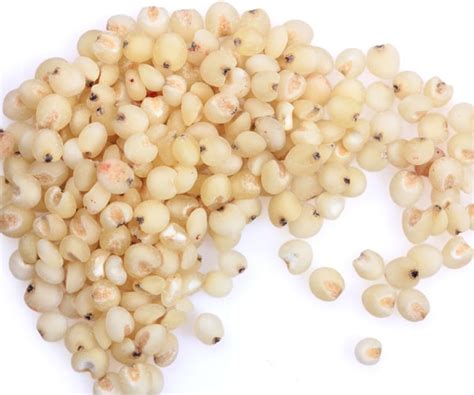 Sorghum: The New Superfood | Newsmax.com