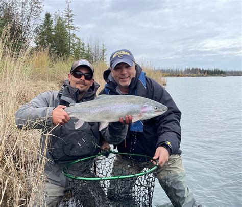 Rainbow trout and dolly varden — Swingafly.com