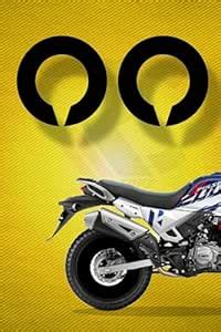 Amazon Brand - Race Copz? RACE DISC 18 INCH FOR HERO XPULSE (REAR WHEEL ...