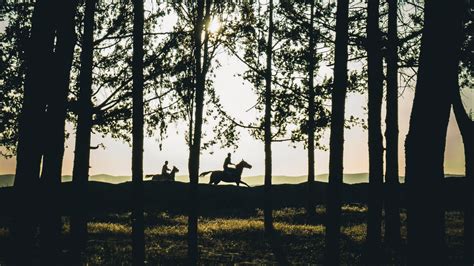 Download wallpaper 1920x1080 riders, silhouettes, forest, sunset ...