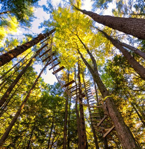 Pickleball Courts at Camping Resorts | Sun RV Resorts