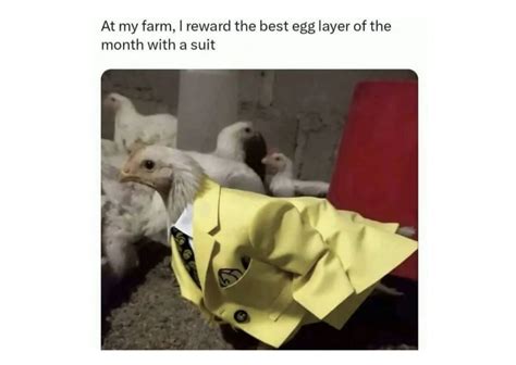 Animation Memes Polar Summit 的图像结果