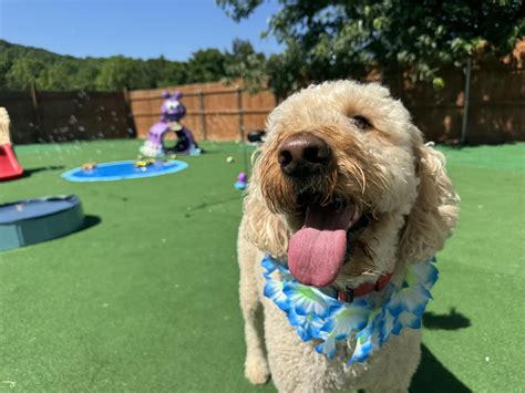 Roller-Christeson Funeral Home - "Nobody has ever measured, not even ...