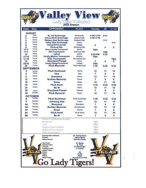 Volleyball | Valley View ISD