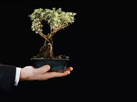 Features of mutual fund ETFs, what investor type they suit, process of ...