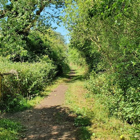 ANNA'S WALK (2026) All You Need to Know BEFORE You Go (with Photos ...