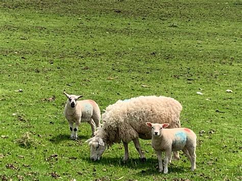 Good for views poor for customer satisfaction - Review of The Izaak ...