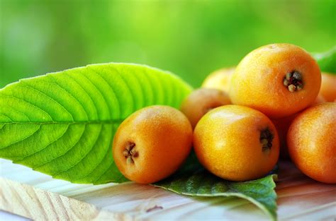 Nispero, Loquat, or Medlar Is a Seasonal Fruit in Spain