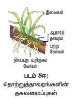 நீர்வாழ் தாவரங்கள், வறண்ட நிலத்தாவரங்கள், உவர் சதுப்பு நிலத் தாவரங்கள் ...