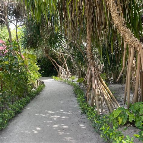 DHIGUFARU ISLAND RESORT (Dhigu faru Island) - Resort Reviews, Photos ...