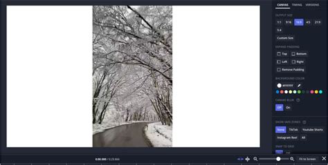 Image result for Horizontal Video Editing