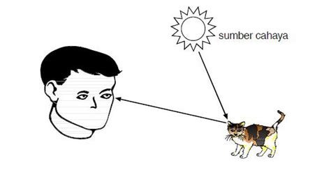 Image result for How to Run Program in Idle Python
