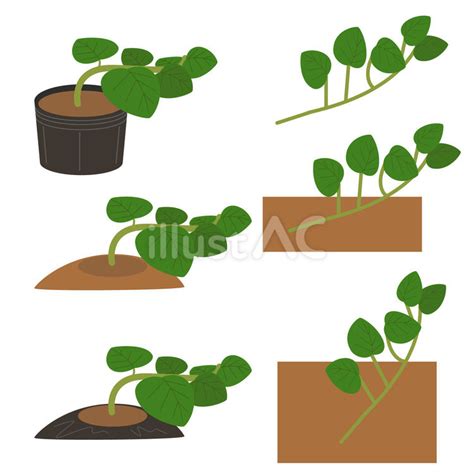 Image result for Script Example Intro
