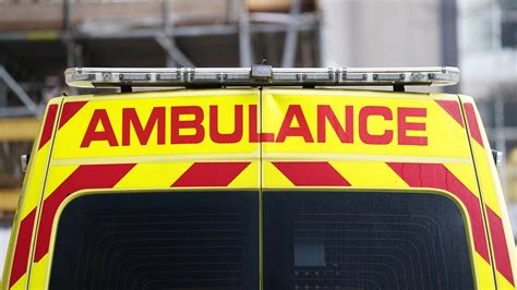 Escaped alligator among most bizarre calls to Welsh Ambulance Service ...