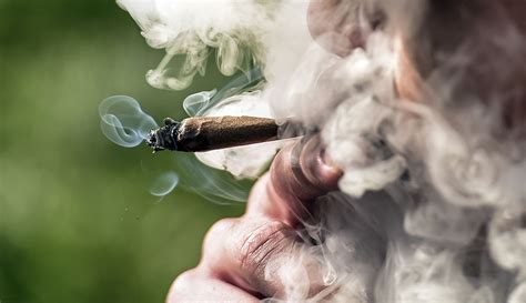Record high: More adults smoke marijuana today than cigarettes | Crain ...