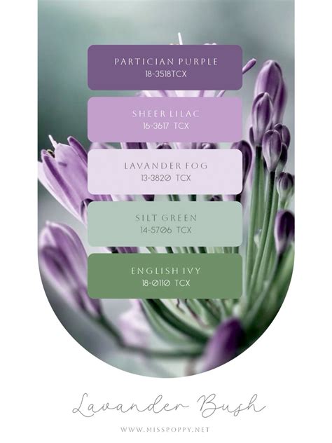 Best 11 25+ Best Lavender Color Palettes with Names and Hex Codes – Artofit