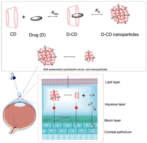 Carrier Systems for Advanced Drug Delivery: Improving Drug Solubility ...