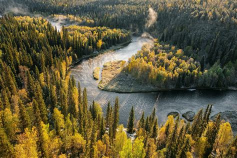 Boreal Forest Climate