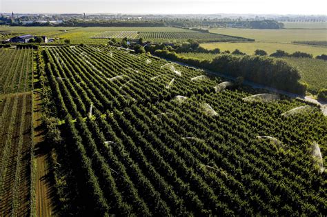 Dutch No Longer Want to Be One of World’s Top Agro Exporters - Bloomberg