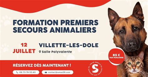 FORMATION – Premiers Secours Animaliers (Canin & Félin), 1 Rue des ...