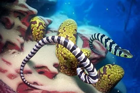 Image result for Color Changing Snake