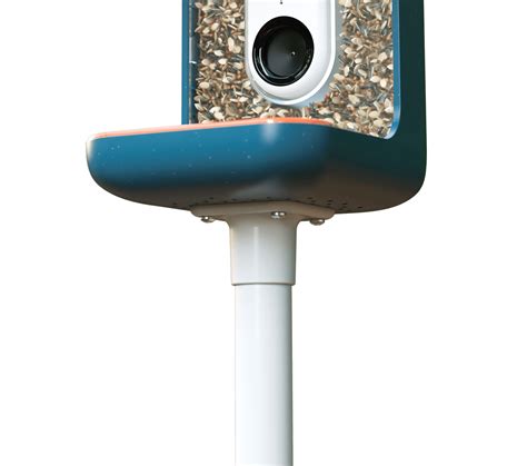 Bird Buddy Shipping at Leonel Muncy blog