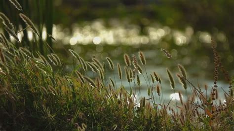 Image result for Sort ArrayList String Alphabetically Java