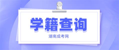 2023年湖南成人高考衡阳考生学籍查询流程 - 湖南成考网