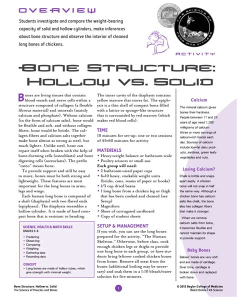 Image result for Magic Bone Lesson Plan