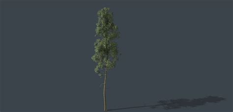 Forest Level in UE4 Tutorial Part 2 的图像结果