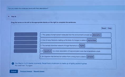 Solved Can you match the vocabulary terms with their | Chegg.com