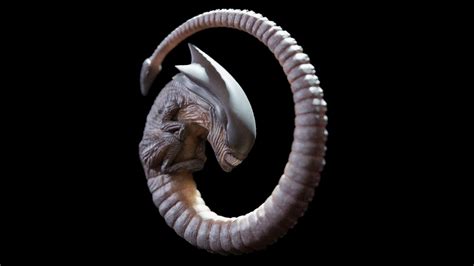 Image result for Alien Chestburster Props