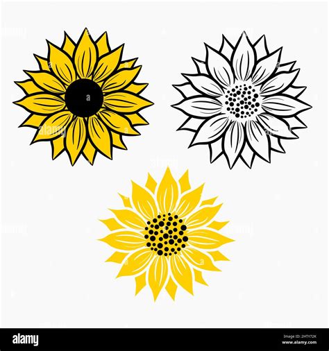 Yellow Sunflower Clipart Outline