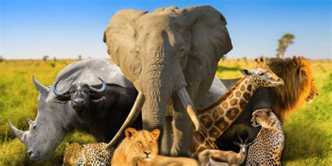 Electronic Devices 的图像结果