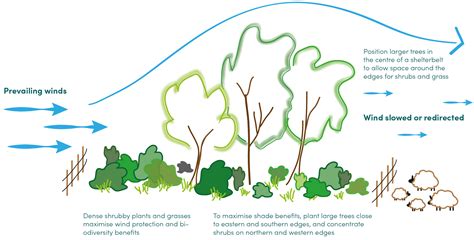 Agents of soil erosion — lesson. Science State Board, Class 10.