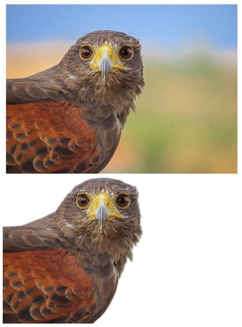 Image result for Python Remove Image Background