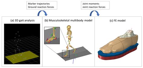 Efficient Computer-Based Method for Adjusting the Stiffness of Subject ...