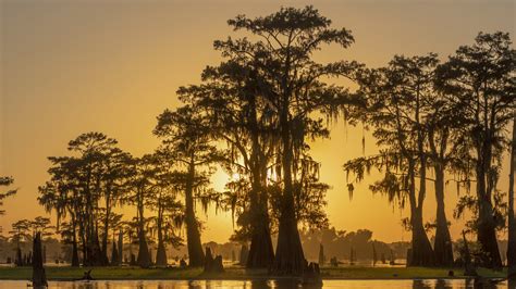 Atchafalaya Basin sunset, Breaux Bridge, St.Martin Parish, Louisiana ...