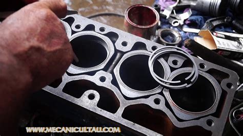 Bildergebnis für 506 d