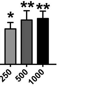 H2O2 Apoptosis 的图像结果