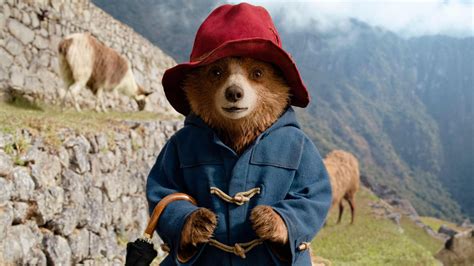 Choreographer Rhys Wilkinson on their passion for Paddington - BBC News