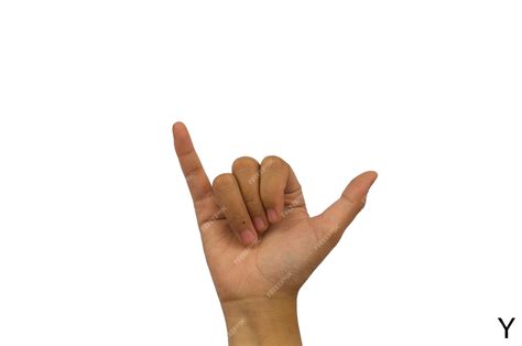 Hand Language Alphabet 的图像结果