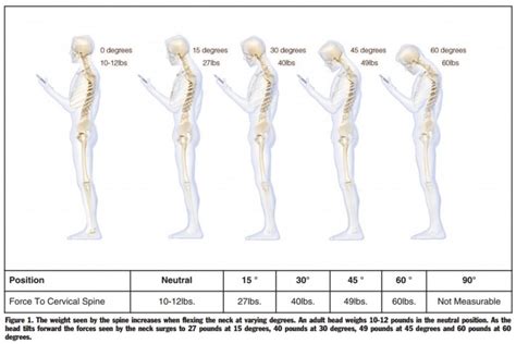 Body Alignment Test 的图像结果