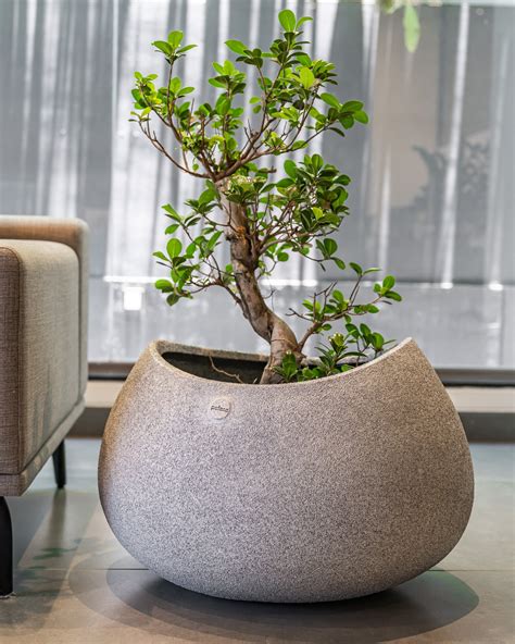 Studio Palasa - Online Planters & Pot Store India - Home | Garden