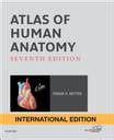 Atlas of Human Anatomy International Edition: Buy Atlas of Human ...