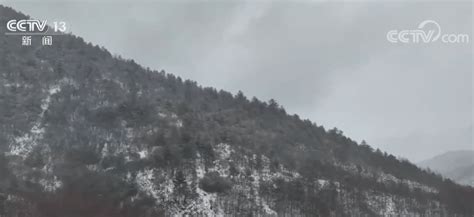 3名儿童山林中迷路走失16小时 警方启用无人机成功搜救_进行_重庆_行动