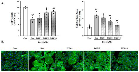 TongGuanWan Alleviates Doxorubicin- and Isoproterenol-Induced Cardiac ...
