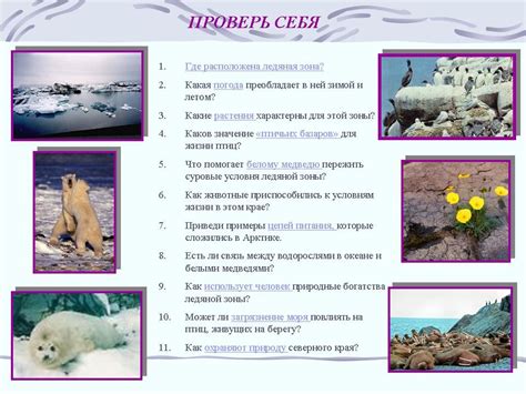 Зона Арктических пустынь. Мир вокруг нас. 4-й класс