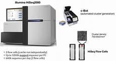 illumina hiseq 2000 dna sequencing queensland brain institute illumina hiseq 2000 dna sequencing queensland brain institute