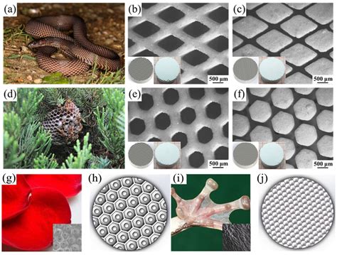 Additive Manufacturing of Advanced Structural Ceramics for Tribological ...